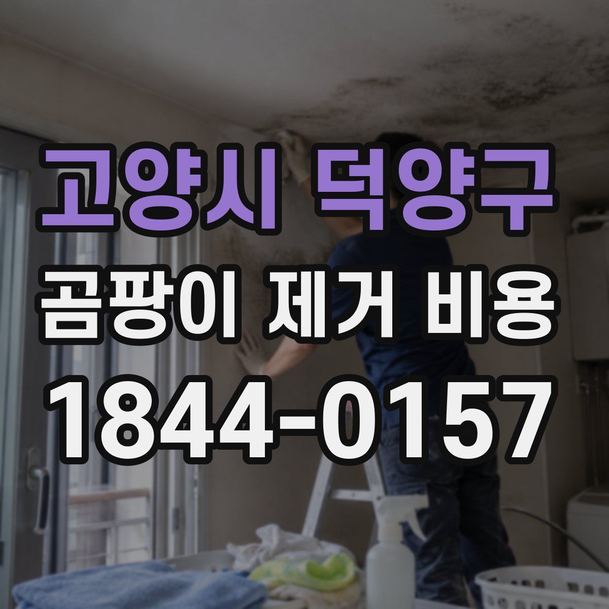 고양시 덕양구 곰팡이 제거 비용