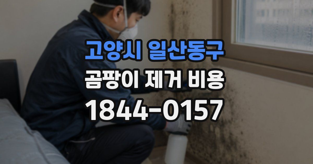 고양시 일산동구 곰팡이 제거 비용