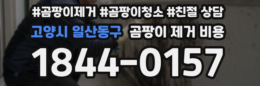 고양시 일산동구 곰팡이 제거 비용