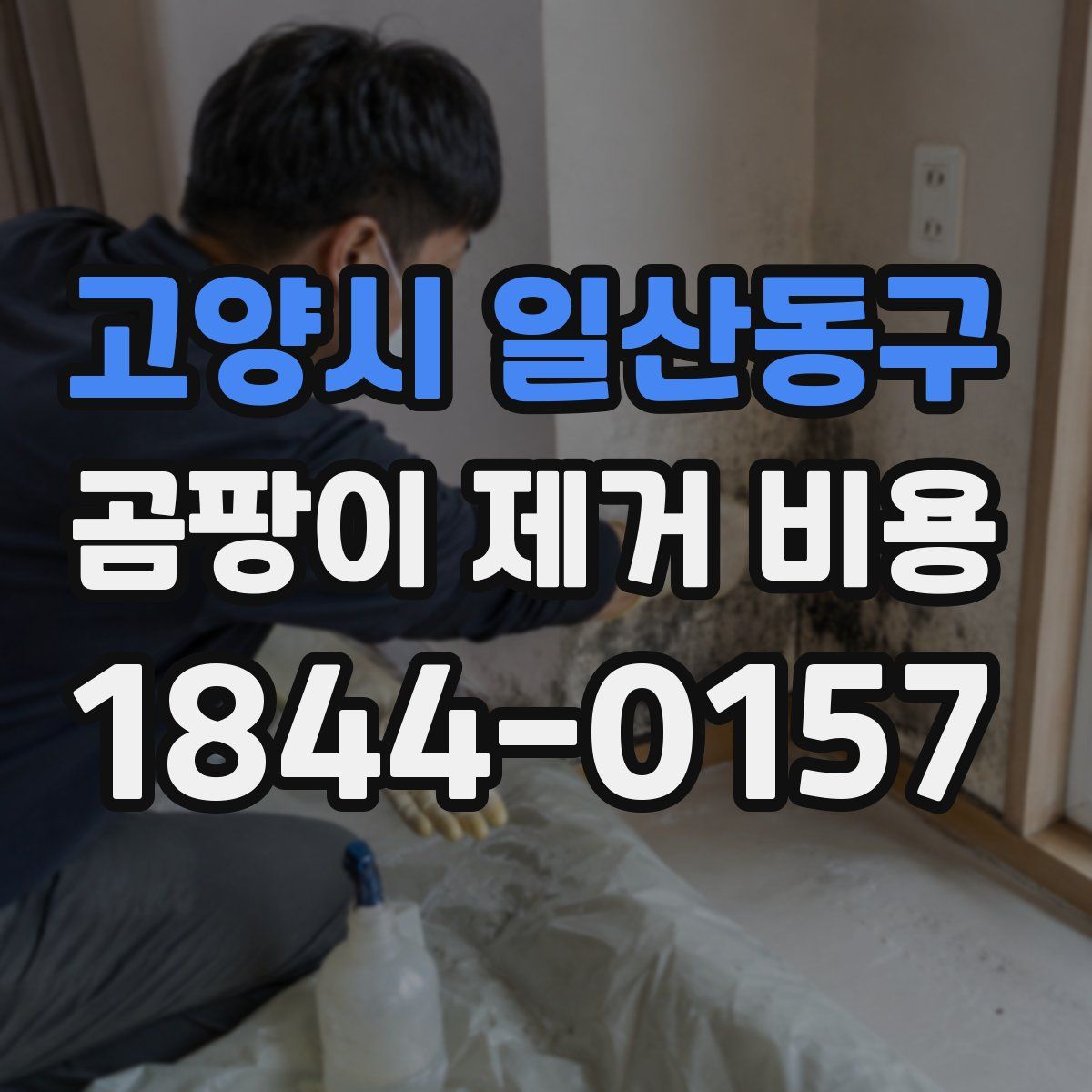 고양시 일산동구 곰팡이 제거 비용