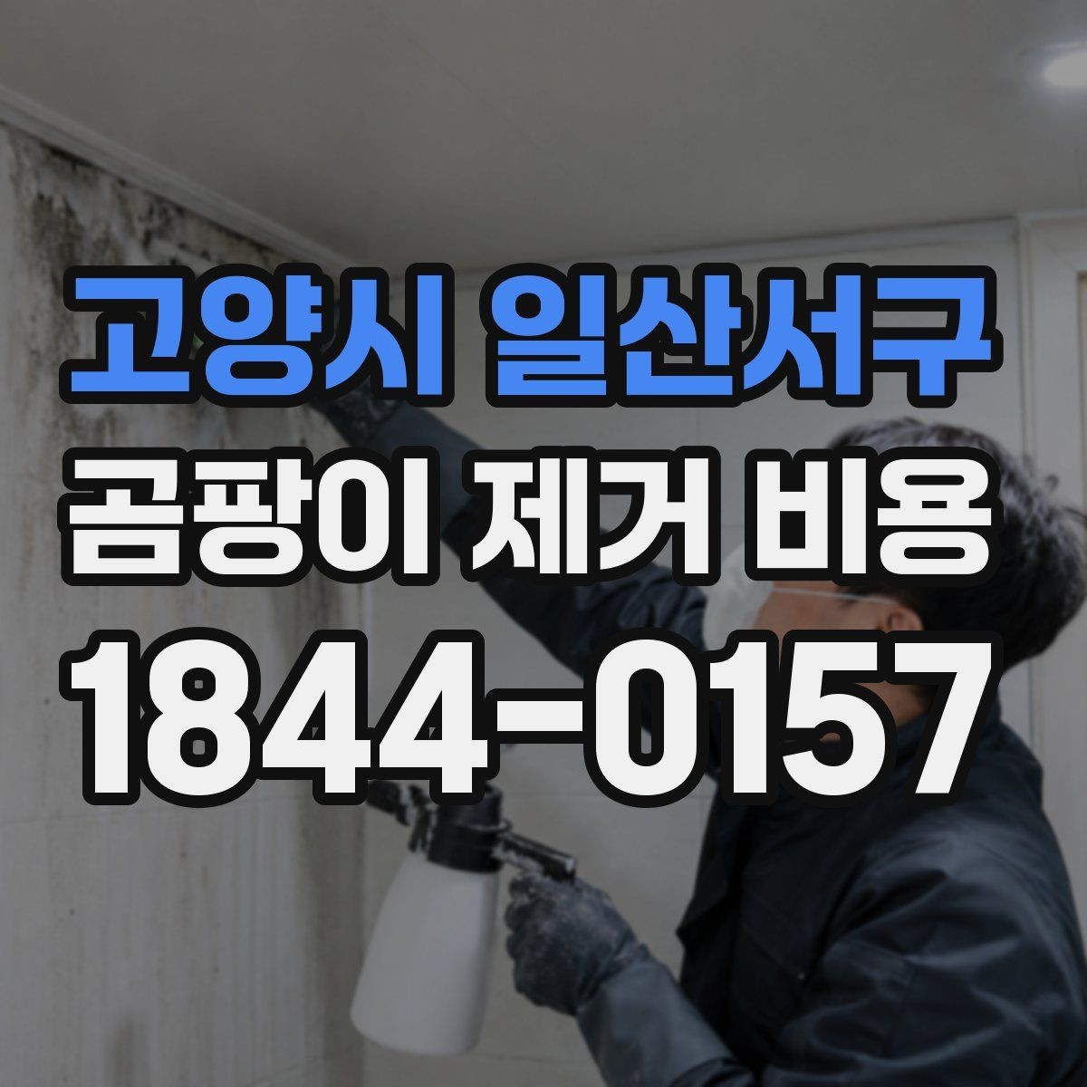 고양시 일산서구 곰팡이 제거 비용 산정 방식과 체크포인트