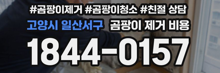 고양시 일산서구 곰팡이 제거 비용