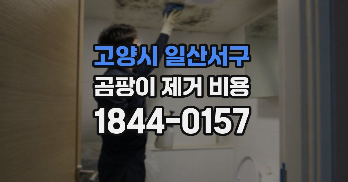 고양시 일산서구 곰팡이 제거 비용