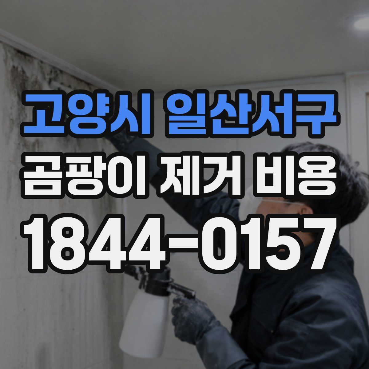 고양시 일산서구 곰팡이 제거 비용