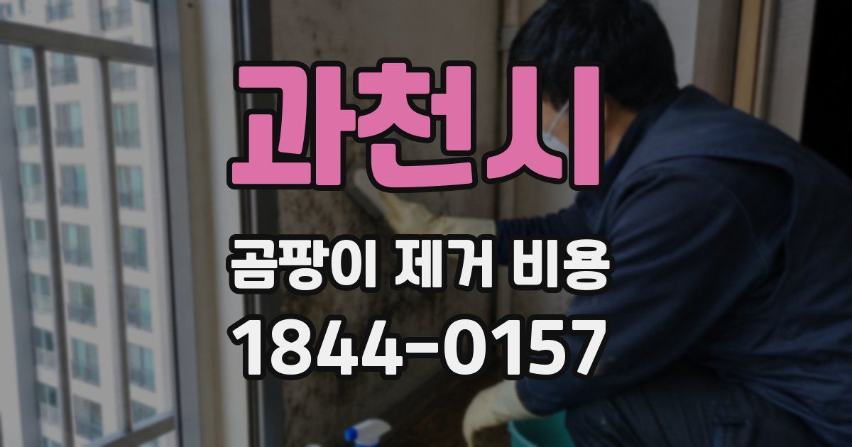 과천시 곰팡이 제거 비용