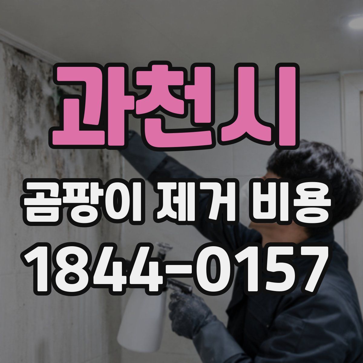 과천시 곰팡이 제거 비용