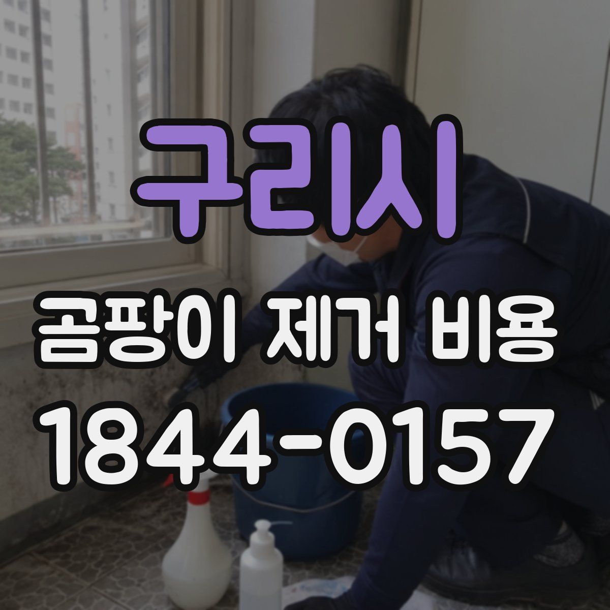 구리시 곰팡이 제거 비용