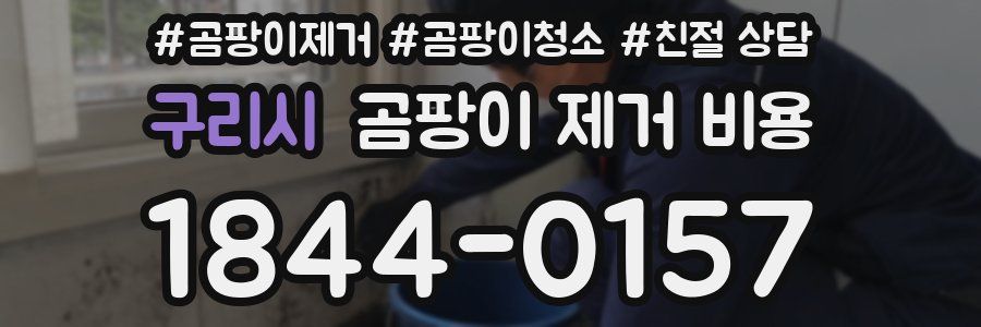 구리시 곰팡이 제거 비용