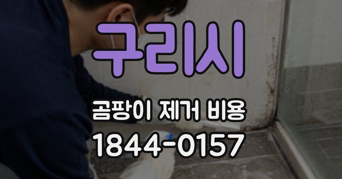 구리시 곰팡이 제거 비용