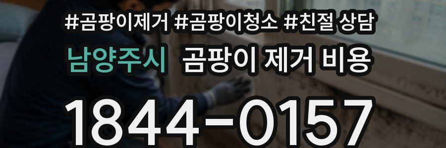 남양주시 곰팡이 제거 비용