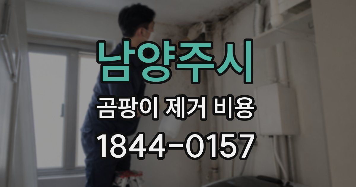 남양주시 곰팡이 제거 비용