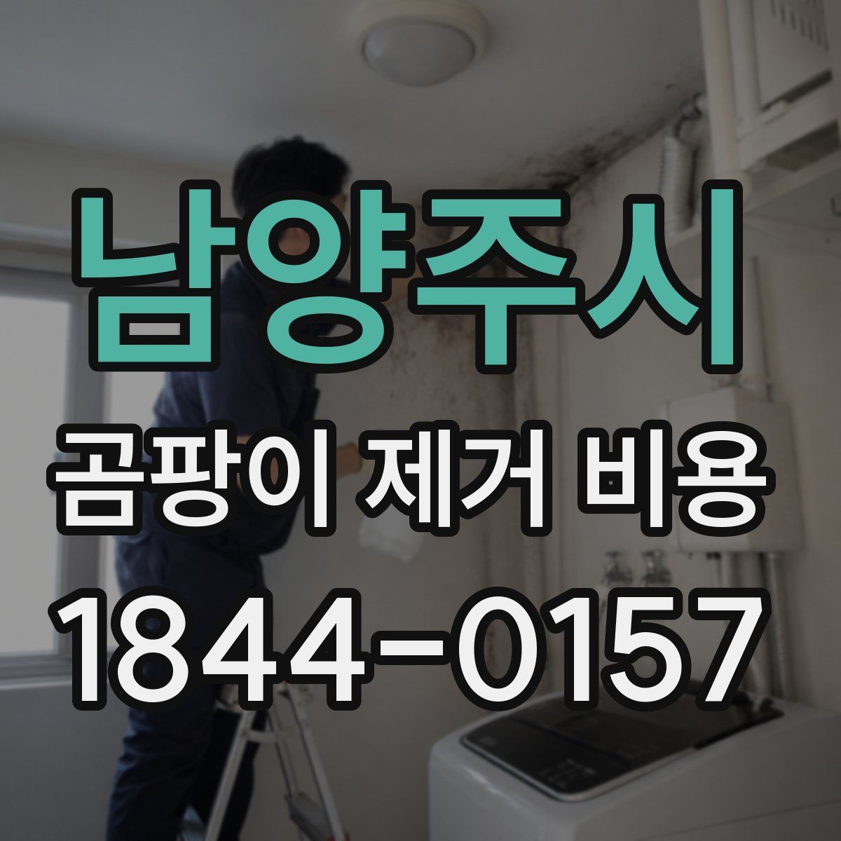 남양주시 곰팡이 제거 비용