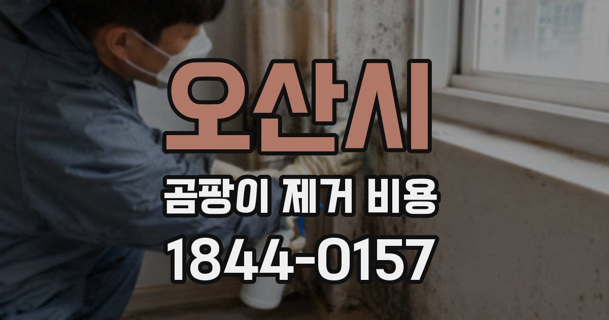 오산시 곰팡이 제거 비용