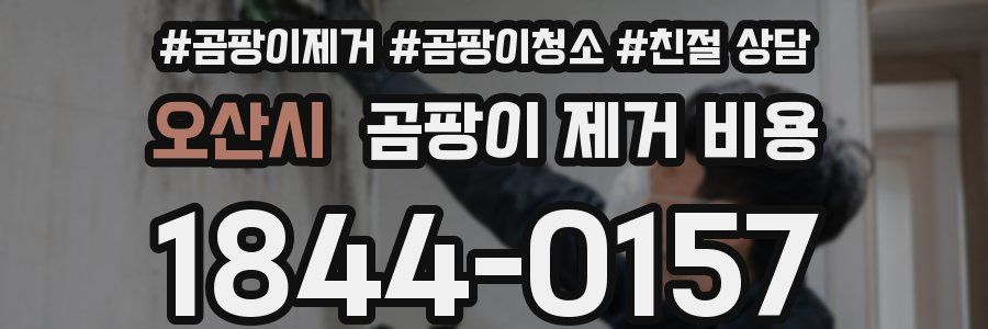 오산시 곰팡이 제거 비용