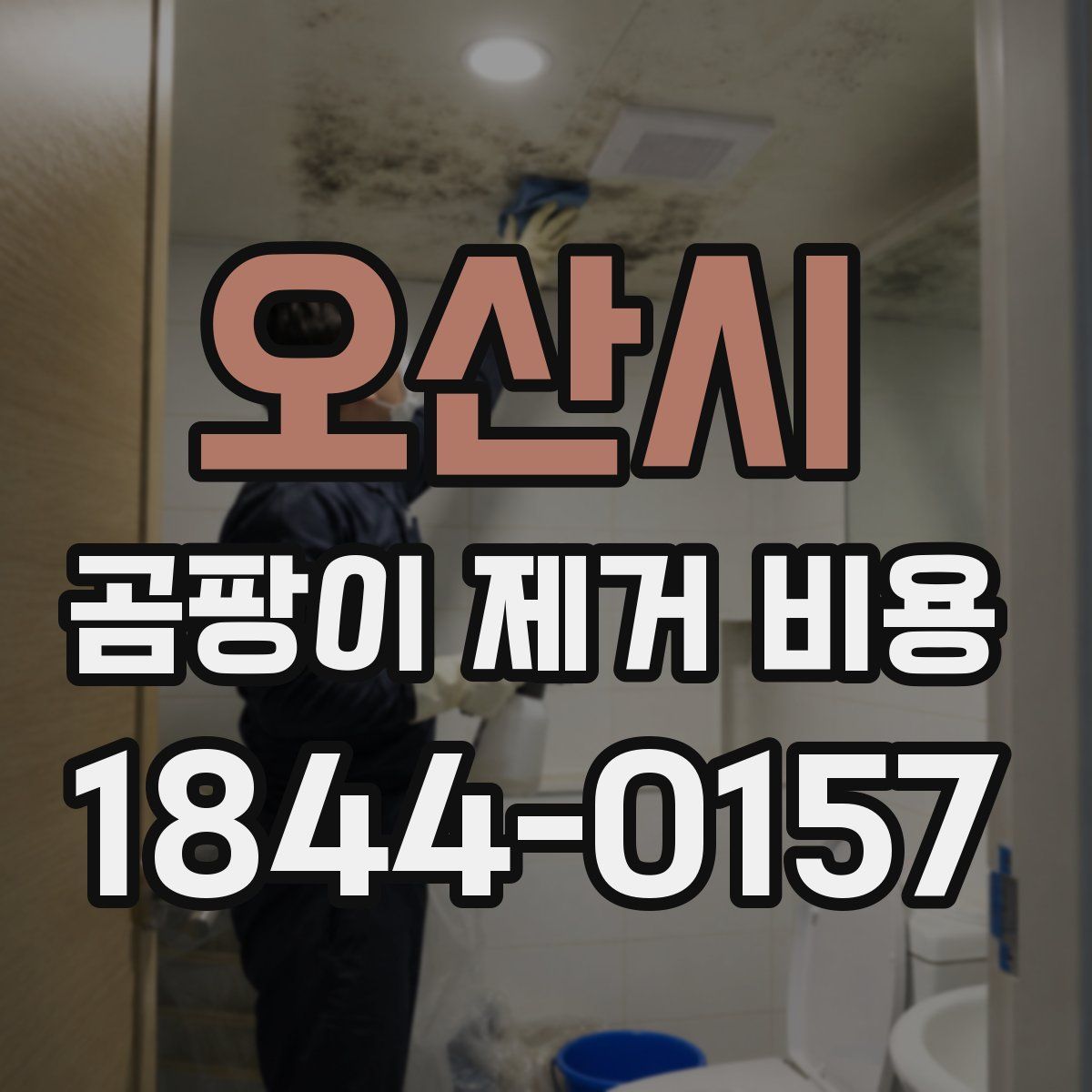 오산시 곰팡이 제거 비용