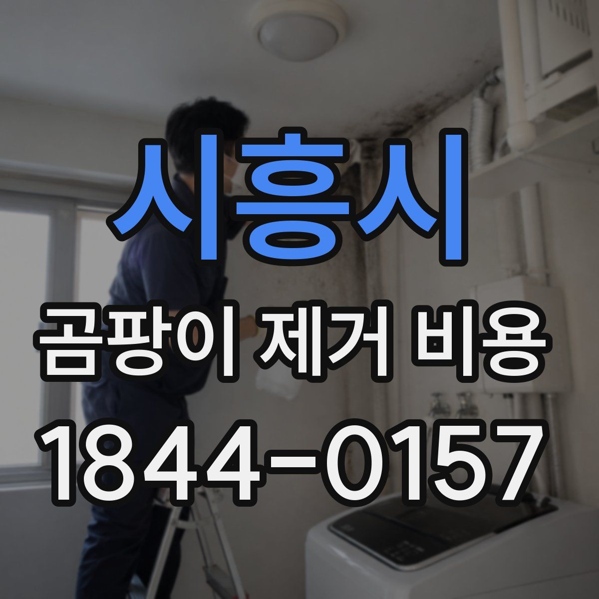 시흥시 곰팡이 제거 비용