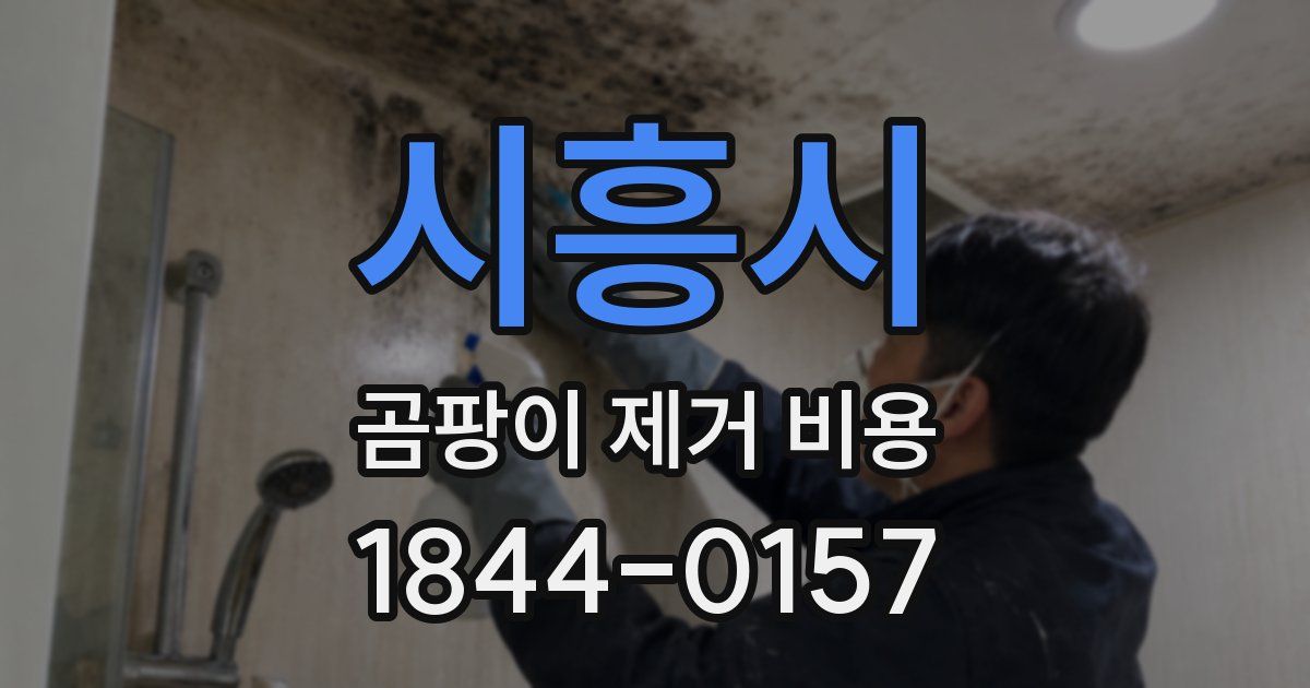 시흥시 곰팡이 제거 비용