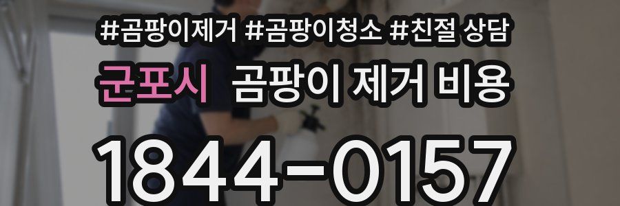 군포시 곰팡이 제거 비용
