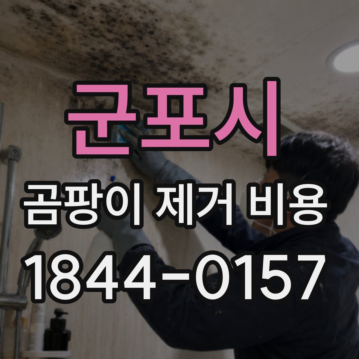 군포시 곰팡이 제거 비용