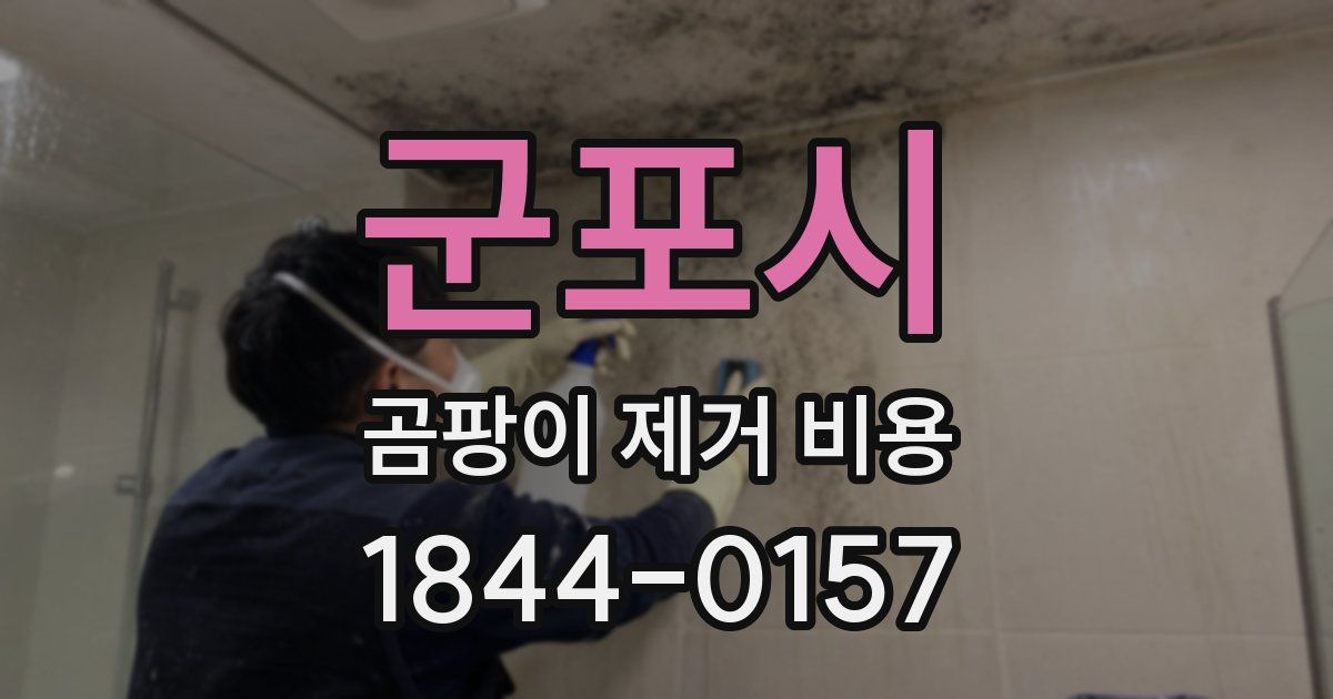 군포시 곰팡이 제거 비용