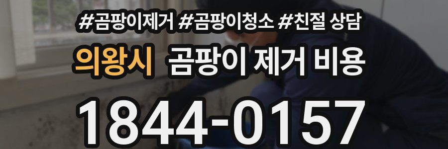 의왕시 곰팡이 제거 비용
