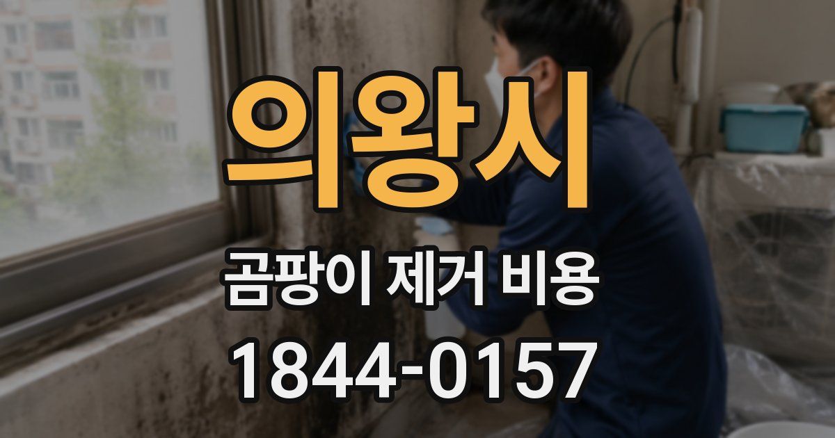 의왕시 곰팡이 제거 비용