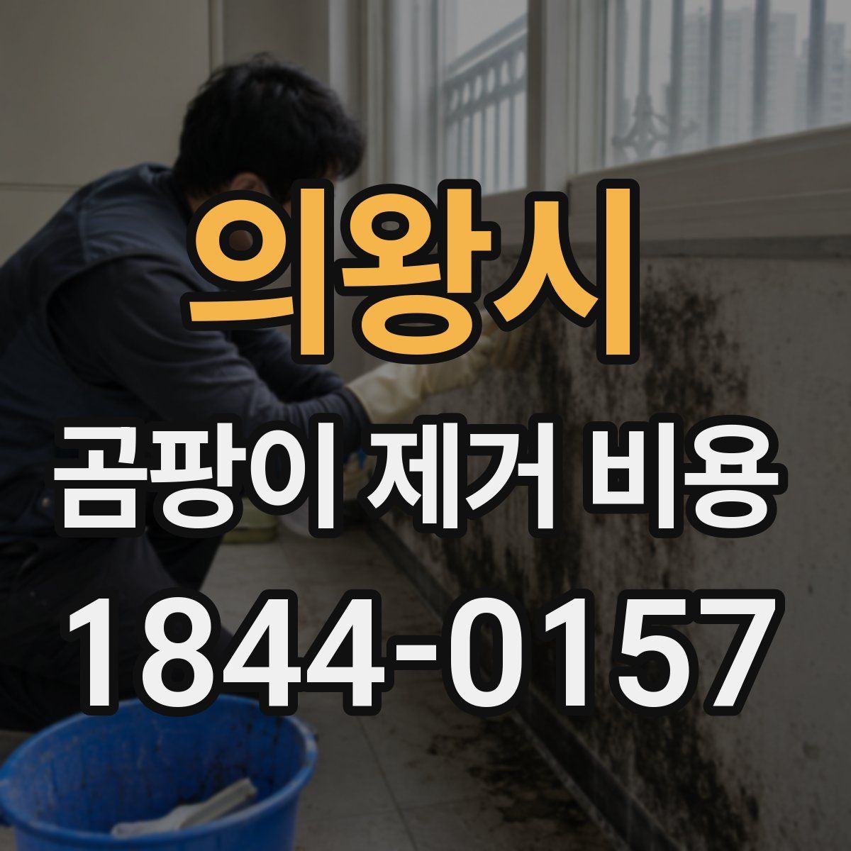 의왕시 곰팡이 제거 비용