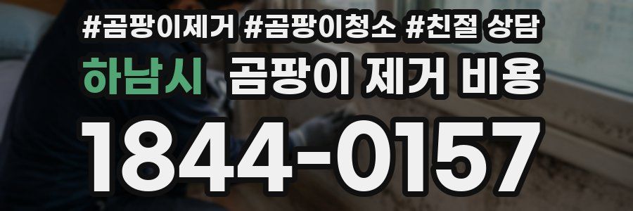 하남시 곰팡이 제거 비용