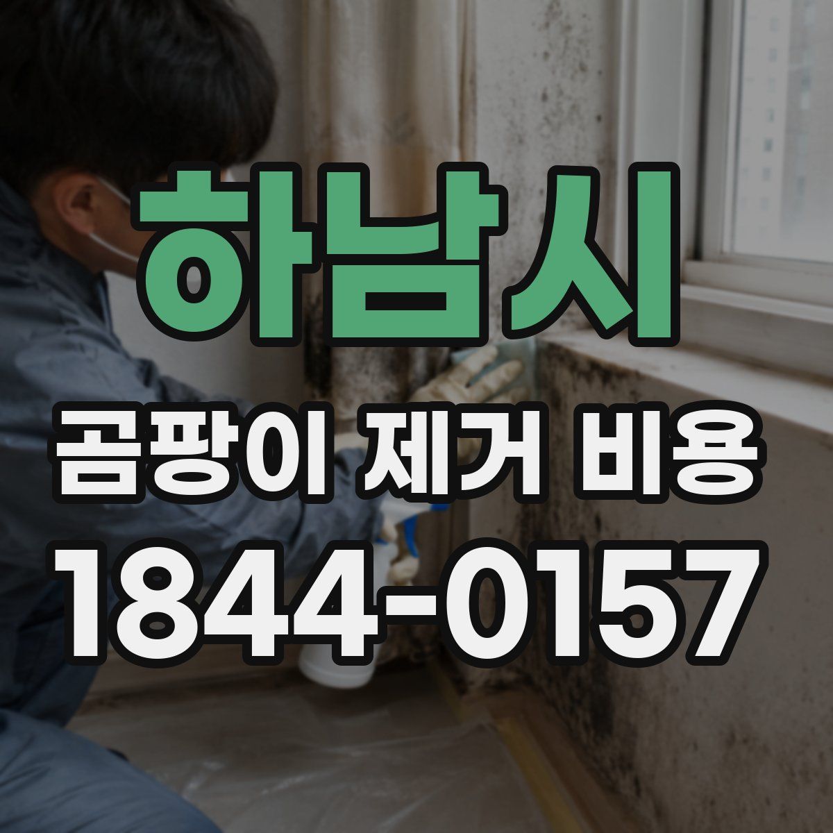 하남시 곰팡이 제거 비용