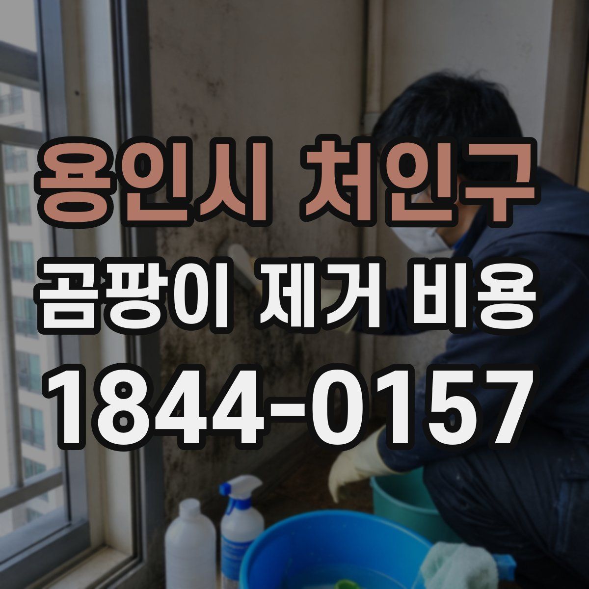 용인시 처인구 곰팡이 제거 비용