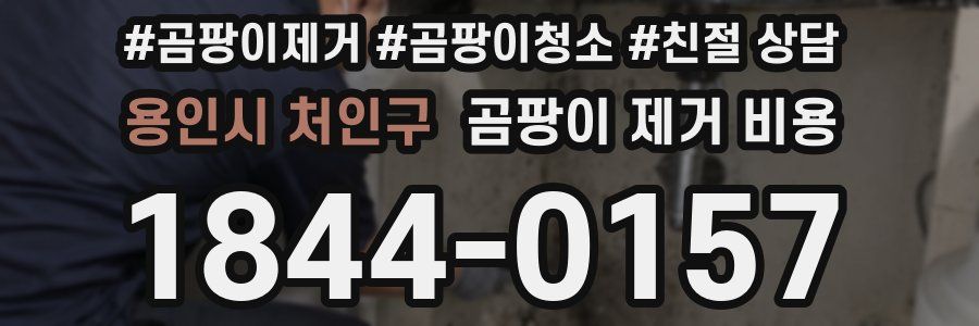 용인시 처인구 곰팡이 제거 비용