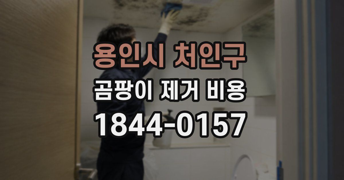 용인시 처인구 곰팡이 제거 비용