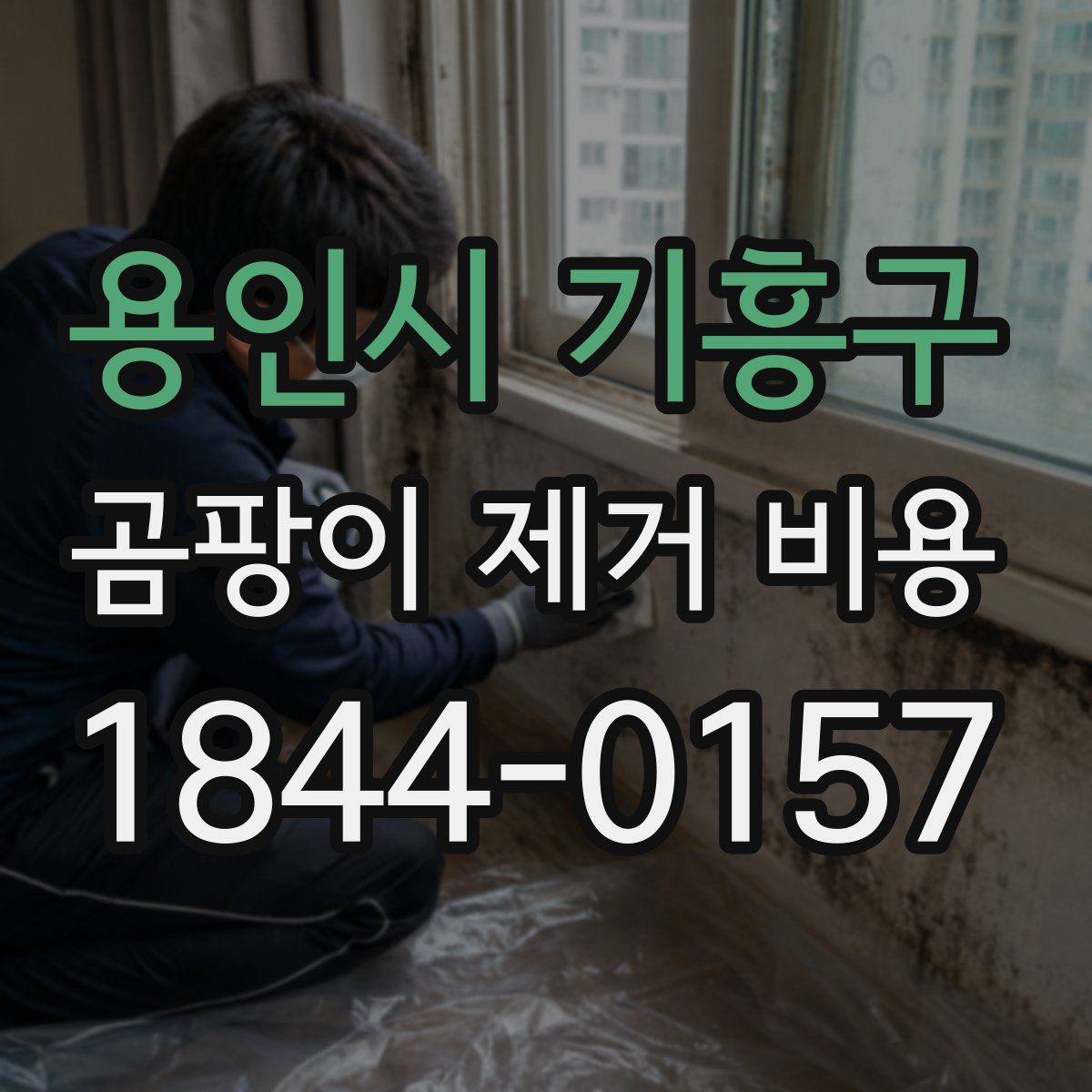 용인시 기흥구 곰팡이 제거 비용
