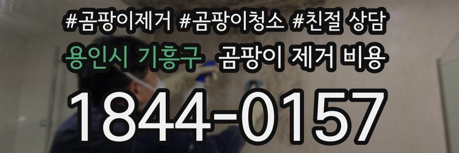 용인시 기흥구 곰팡이 제거 비용