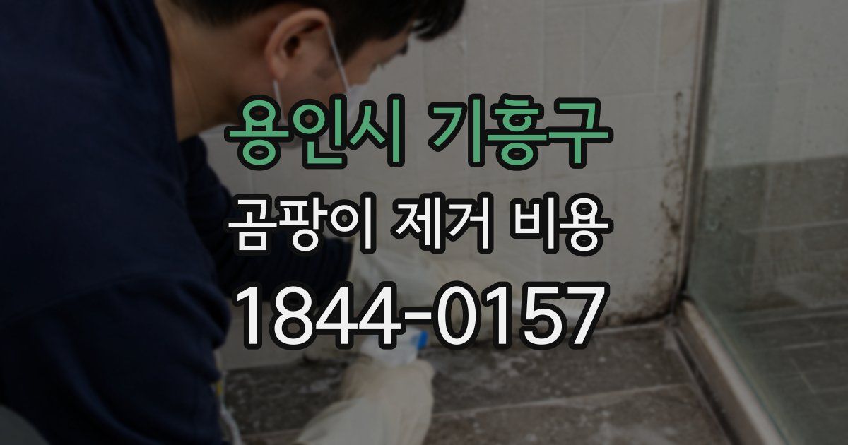 용인시 기흥구 곰팡이 제거 비용