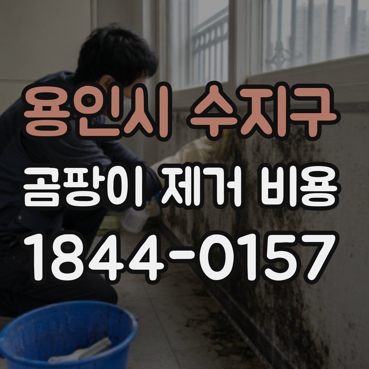 용인시 수지구 곰팡이 제거 비용