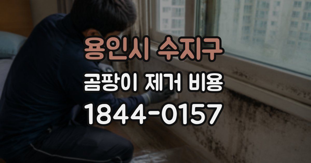용인시 수지구 곰팡이 제거 비용