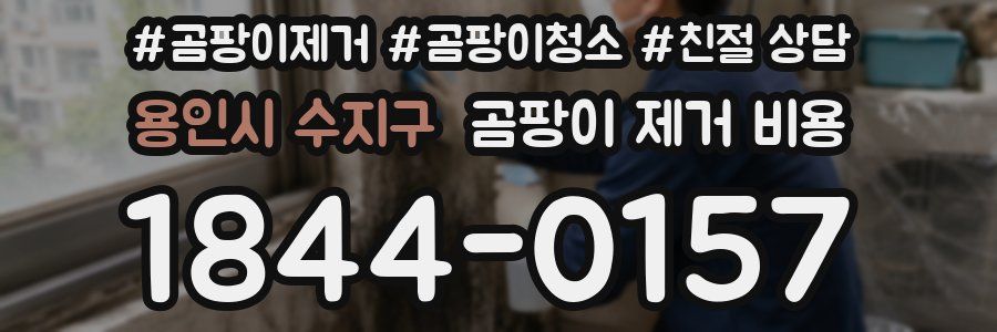 용인시 수지구 곰팡이 제거 비용