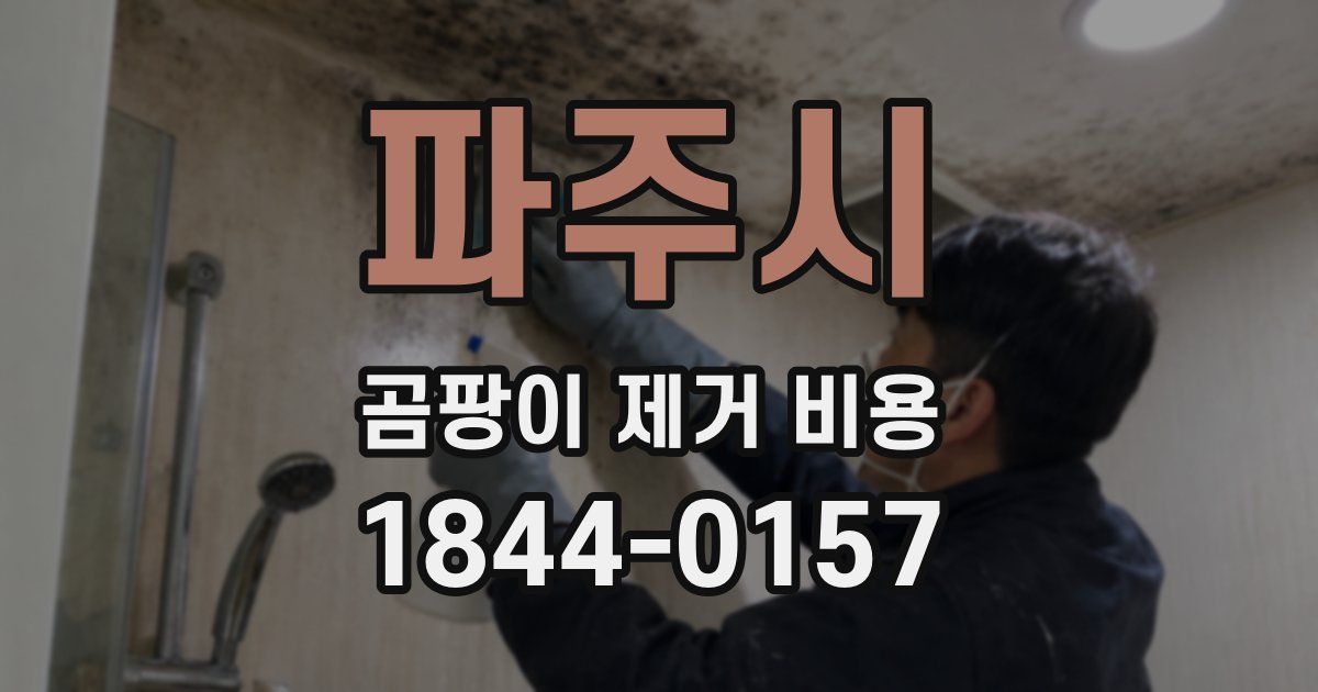 파주시 곰팡이 제거 비용