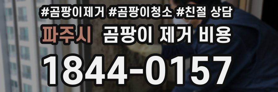 파주시 곰팡이 제거 비용