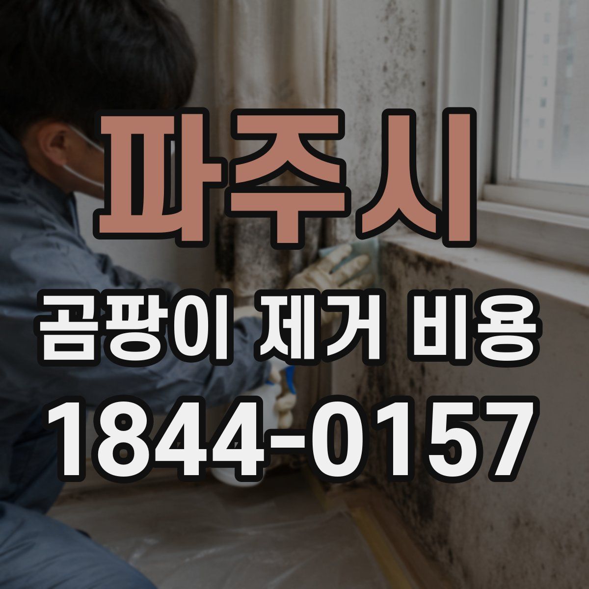 파주시 곰팡이 제거 비용