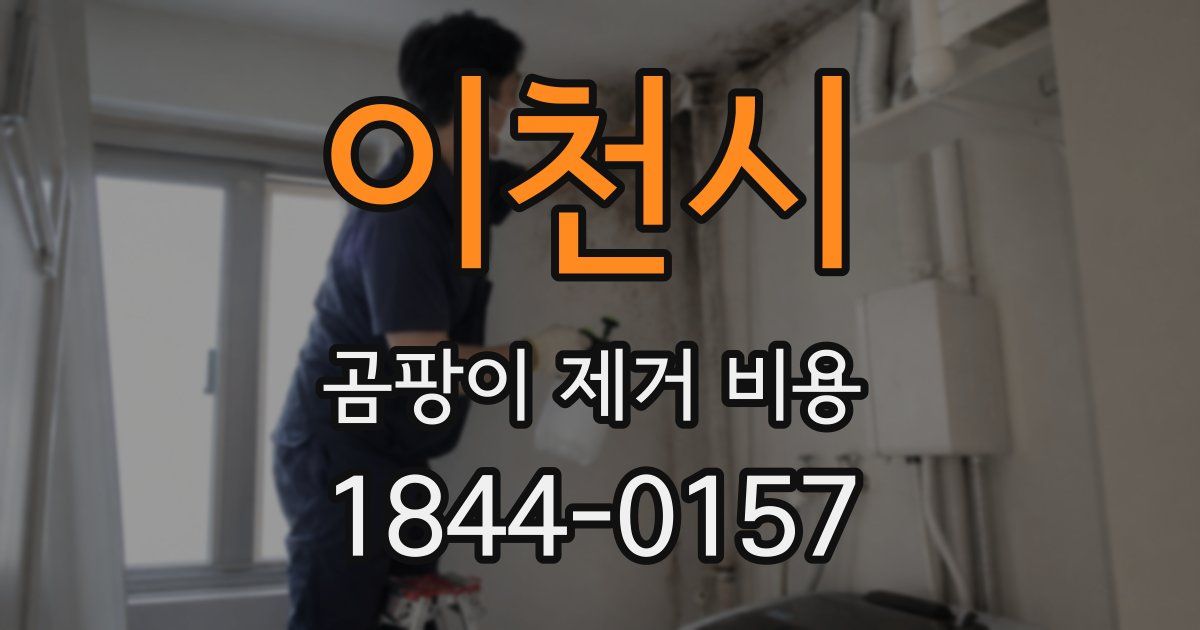 이천시 곰팡이 제거 비용