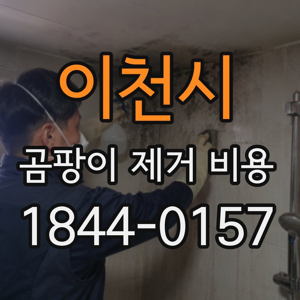 이천시 곰팡이 제거 비용