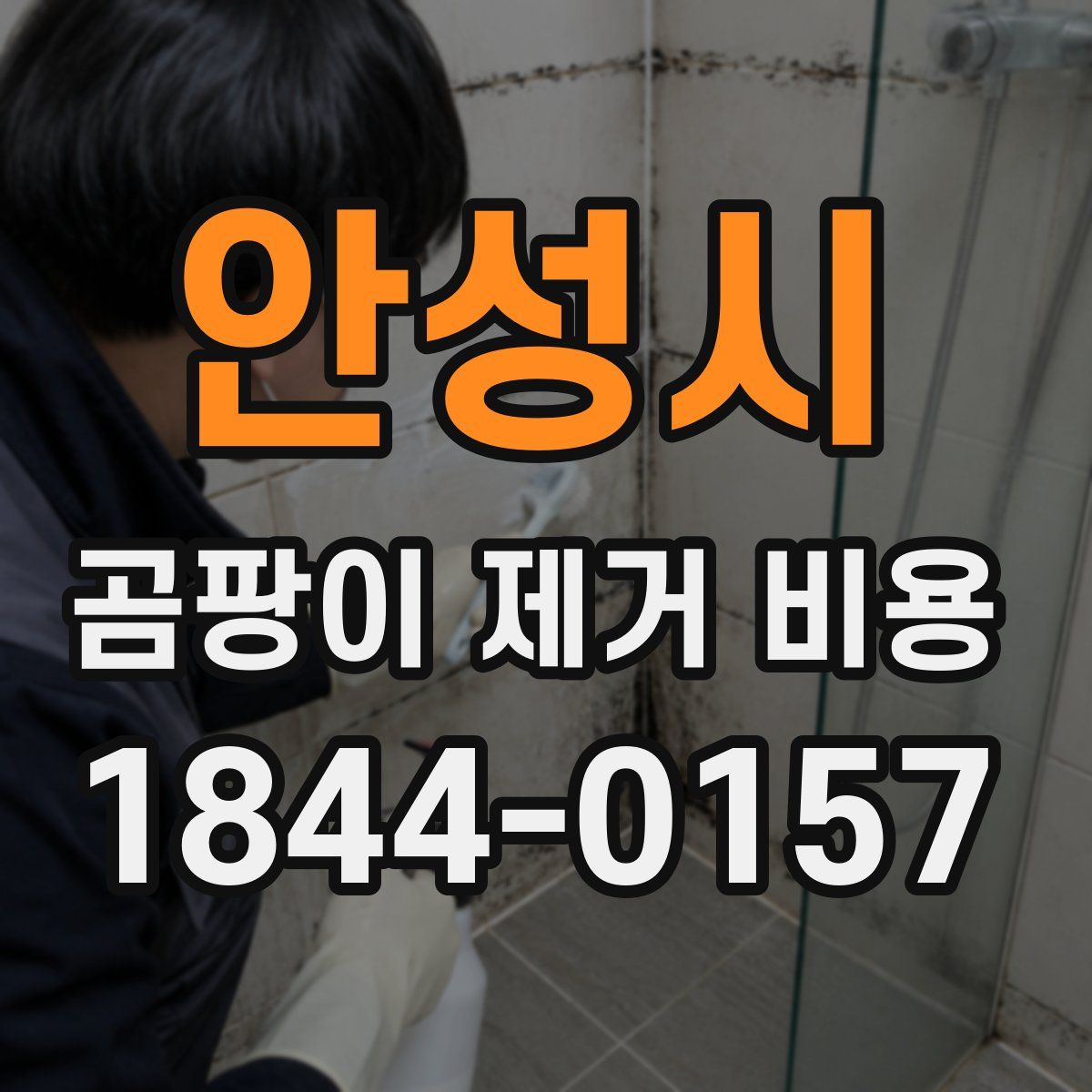 안성시 곰팡이 제거 비용