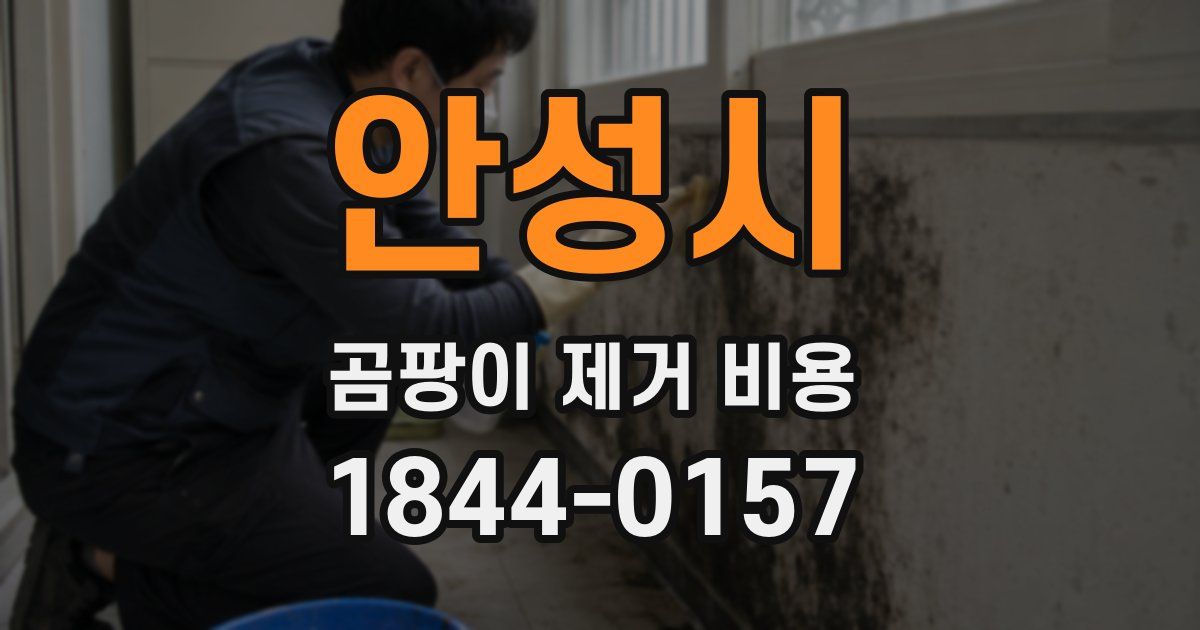 안성시 곰팡이 제거 비용