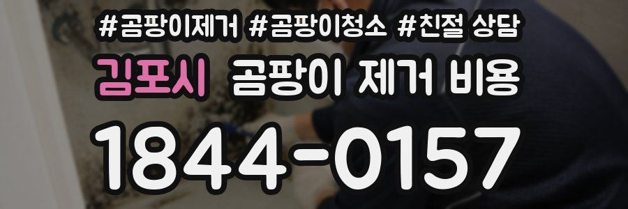 김포시 곰팡이 제거 비용