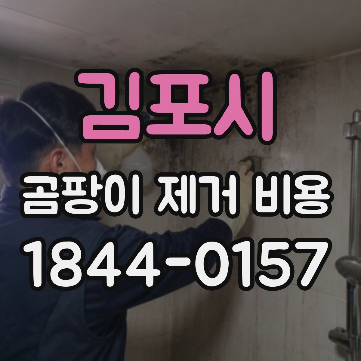 김포시 곰팡이 제거 비용