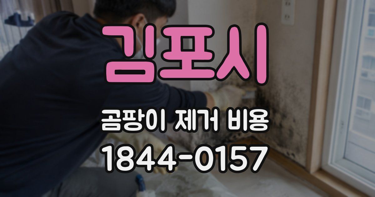 김포시 곰팡이 제거 비용