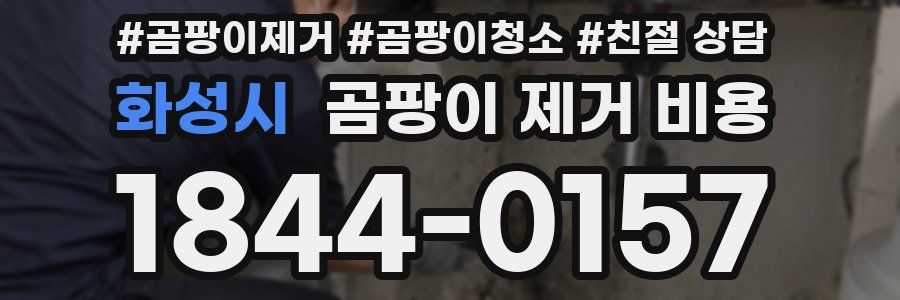 화성시 곰팡이 제거 비용