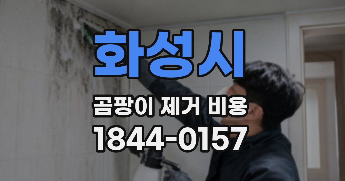 화성시 곰팡이 제거 비용